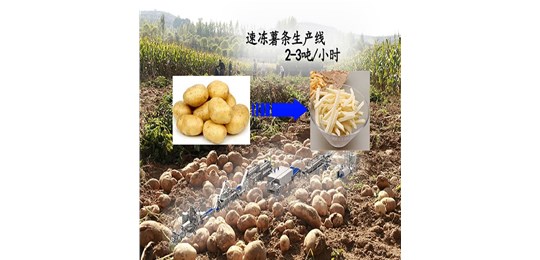 薯条生产线助力马铃薯产业新发展