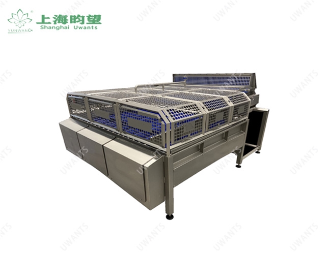 去皮土豆分级机
